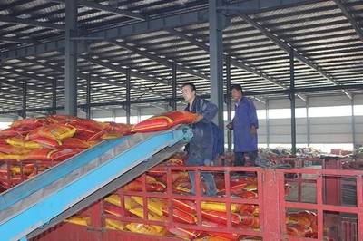 成長之星 | 源科生物 治理農業面源污染，從土壤修復開始——生物有機肥料研發之路